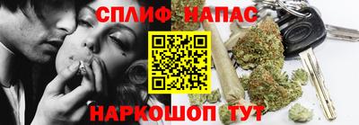 тгк Будённовск