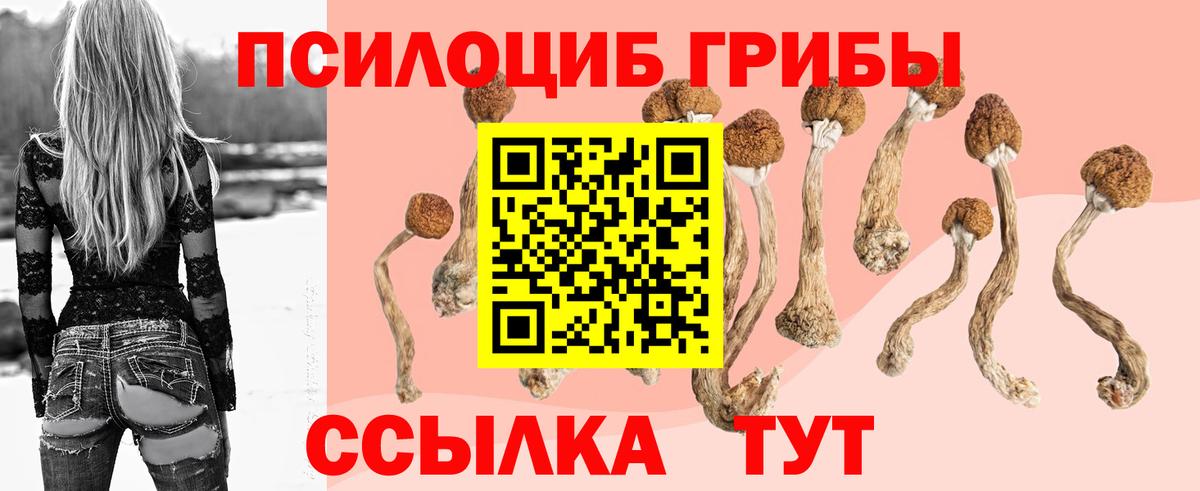 Псилоцибиновые грибы мухоморы  Вход с VPN  Галлюциногенные грибы Psilocybine cubensis  Брянск 